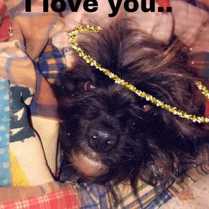 Meet your Posher, Destiny